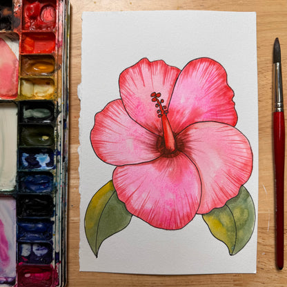 Hibiscus Flower